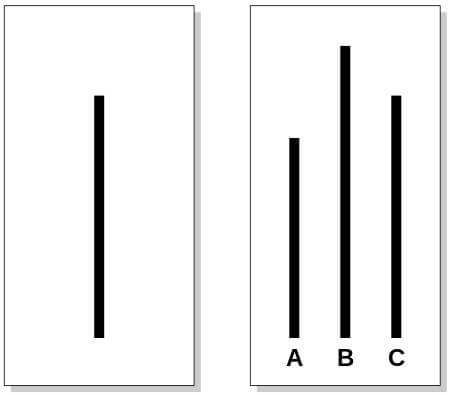 solomon asch conformity experiments