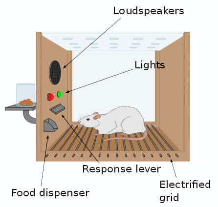 skinner box operant conditioning