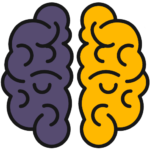 left and right brain hemispheres