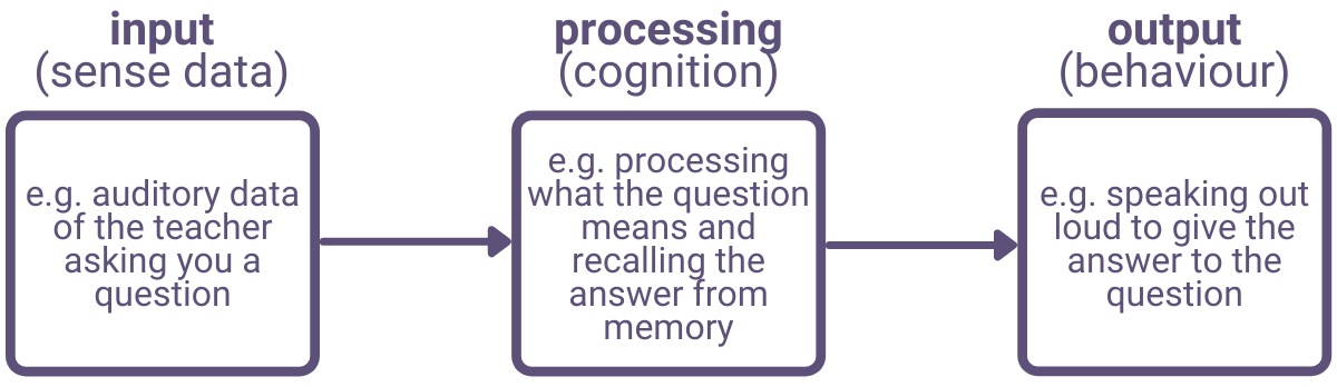 computer model of mind cognitive approach