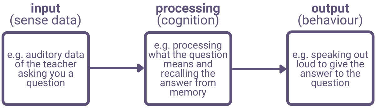 Cognitive discount approach examples