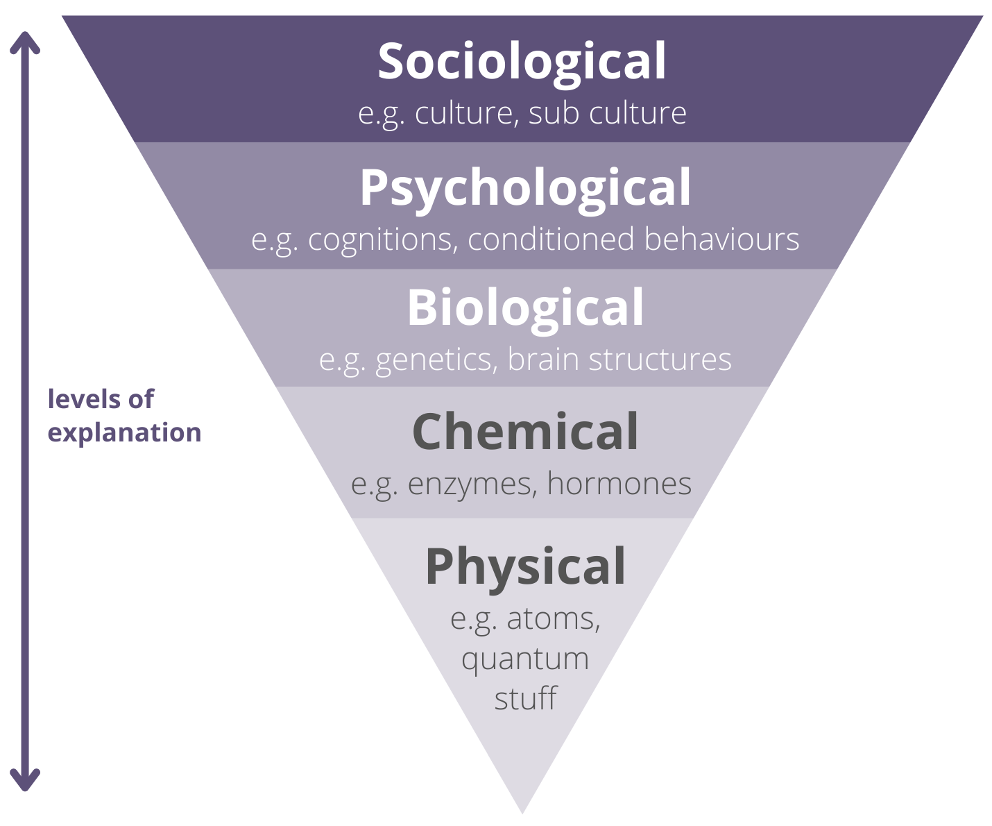 holism reductionism levels of explanation