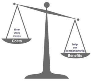 social exchange theory costs and benefits