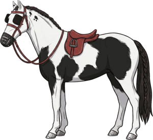 white horse